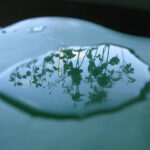 Water & Sky