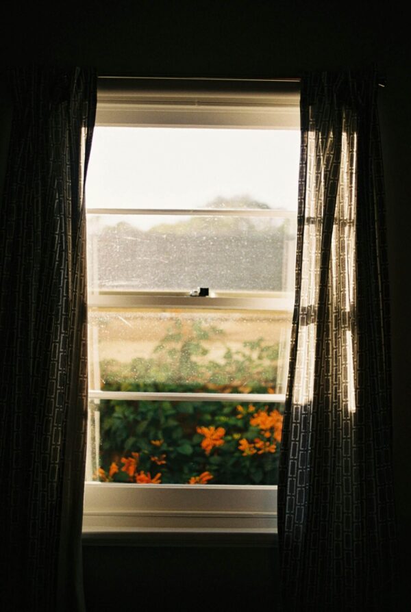 On Film - A Film/analogue Photography Exhibition