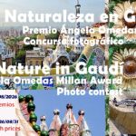 Nature in Gaudí