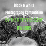 Black and White Photography 2026 by The Artist Gallery Awards