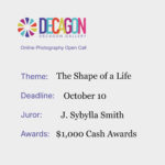 The Shape of a Life
