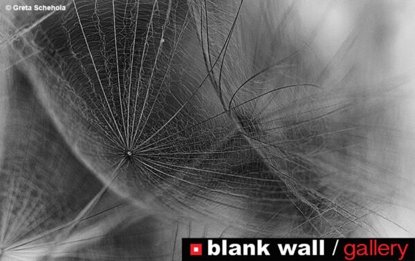 Still Life by Blank Wall Gallery