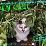 «Galicia» Award of Contemporary Photography